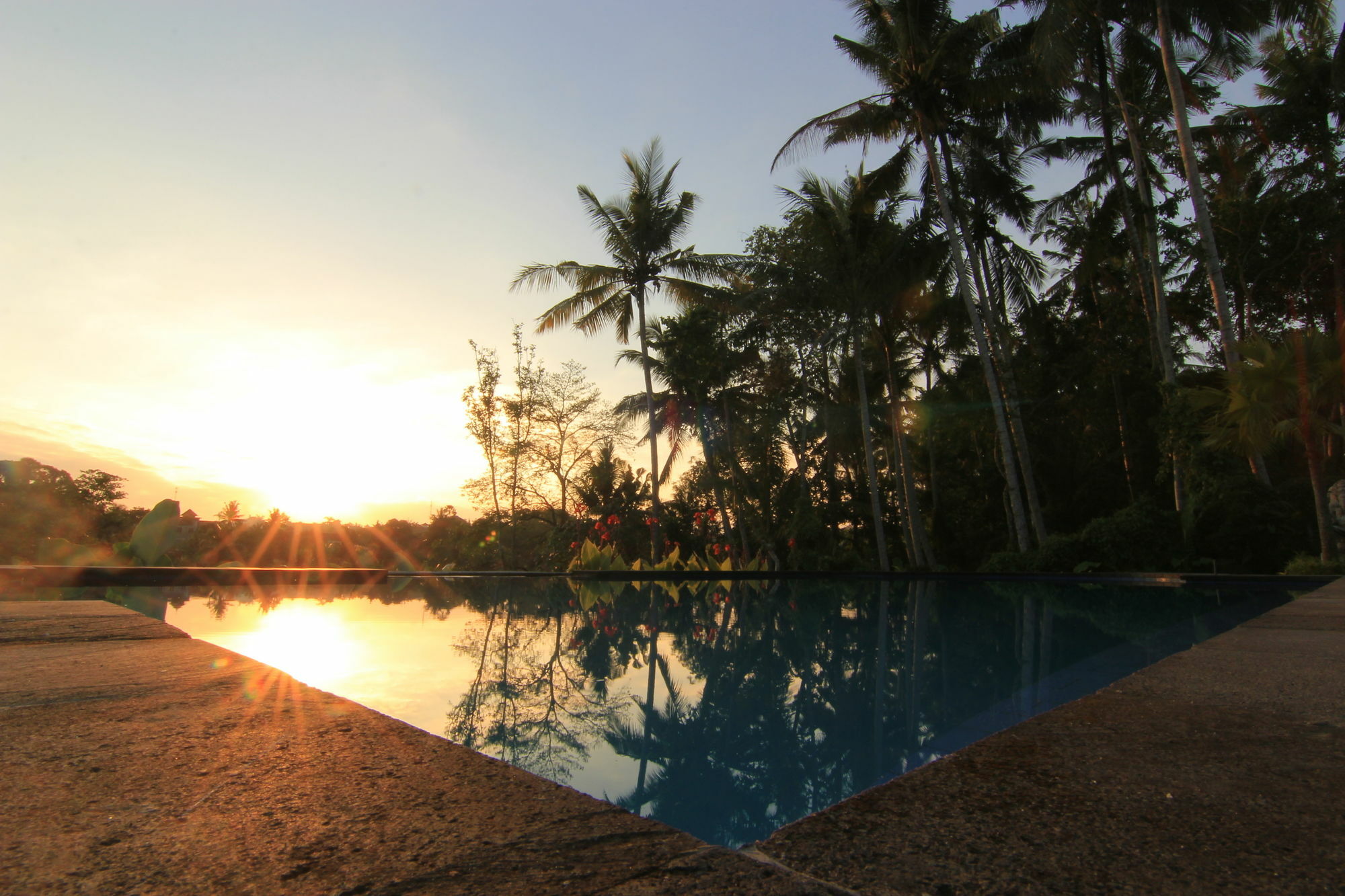 Villa Capung Mas Ubud Exterior photo